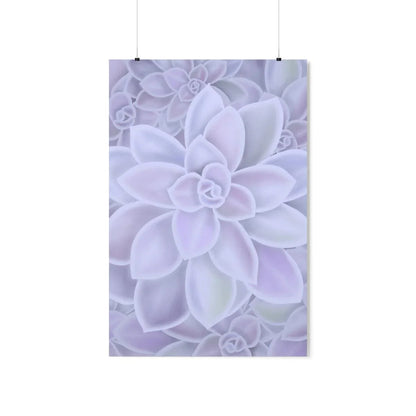 Graptopetalum Murasaki Succulent Pattern Botanical Print – Unframed Wall Art
