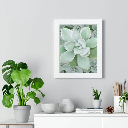 Pachyveria Haagei Succulent Pattern Framed Print – Botanical Wall Art