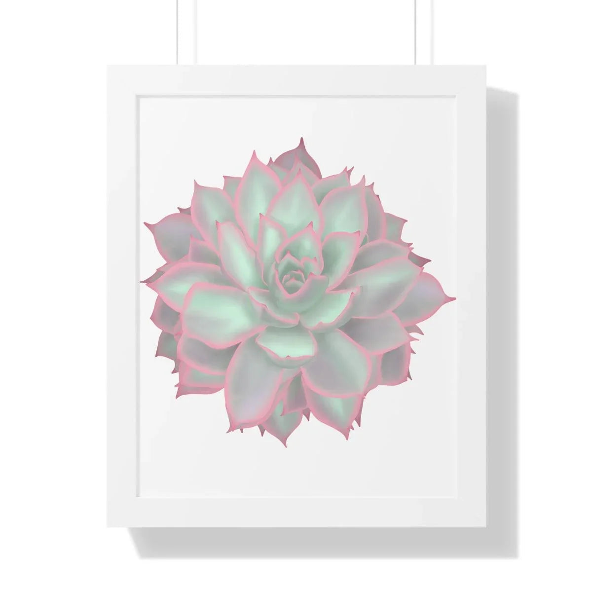Echeveria Violet Queen Succulent Framed Print – Botanical Wall Art
