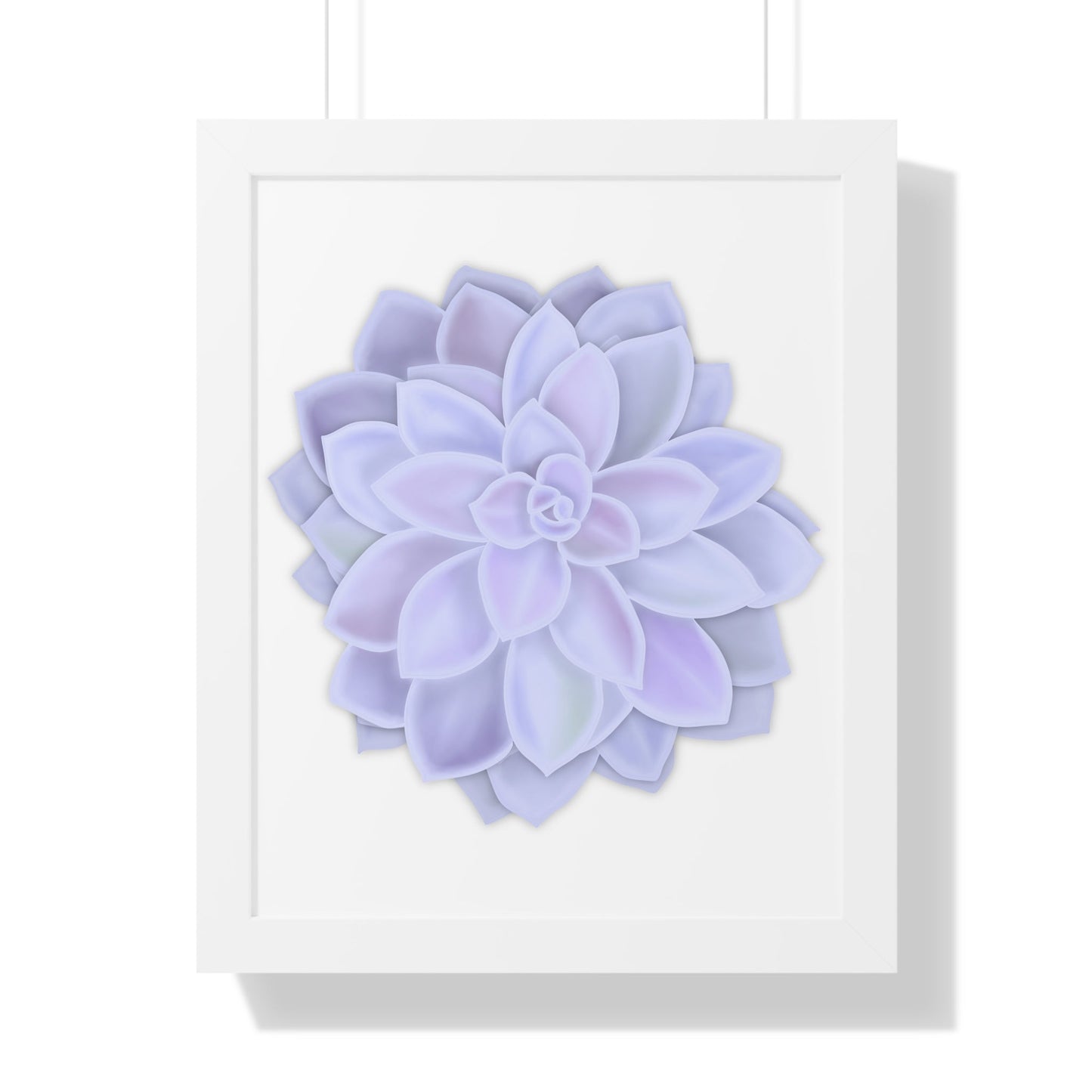 Graptopetalum Murasaki Succulent Framed Print – Botanical Wall Art