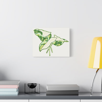 Marble Syngonium Canvas Print – Botanical Wall Art