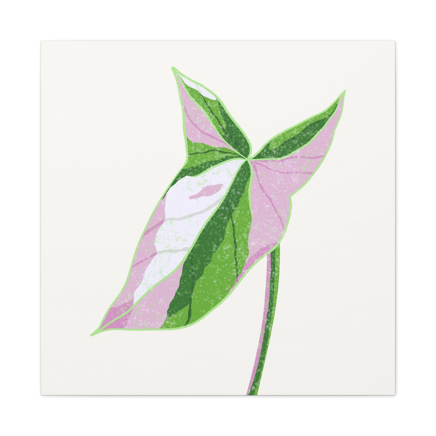 Syngonium Tricolor Canvas Print – Botanical Wall Art