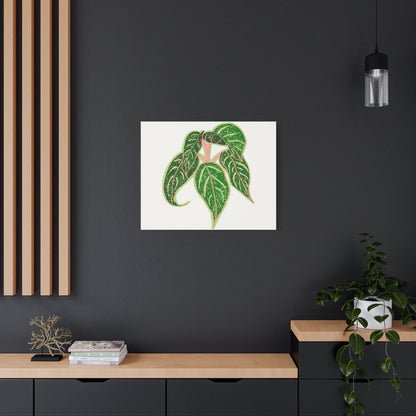 Aglaonema Sparkling Sarah Canvas Print – Botanical Wall Art