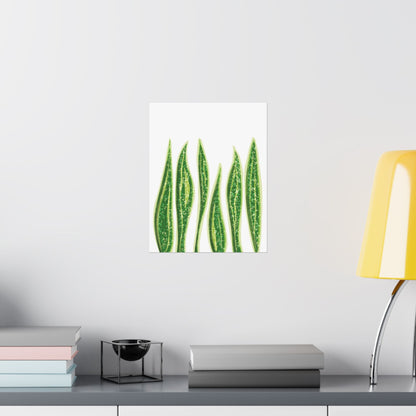 Snake Plant Botanical Print – Unframed Wall Art