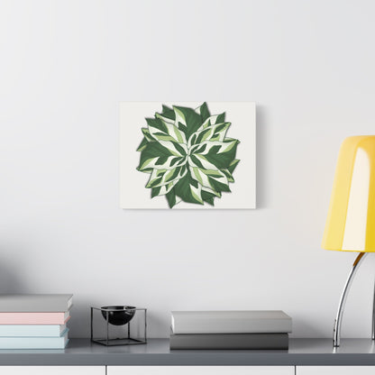 Calathea White Fusion Canvas Print – Botanical Wall Art