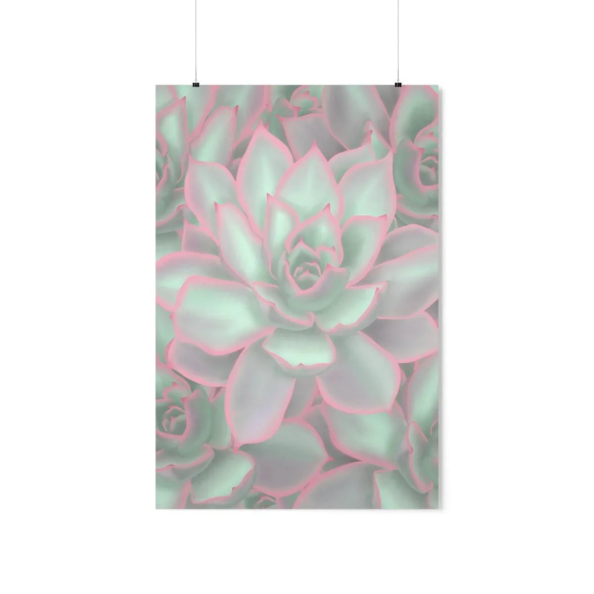 Echeveria Violet Queen Succulent Pattern Botanical Print – Unframed Wall Art
