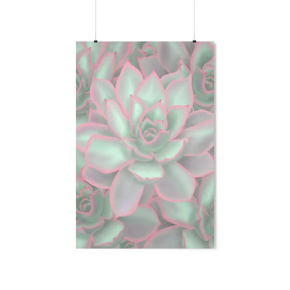 Echeveria Violet Queen Succulent Pattern Botanical Print – Unframed Wall Art