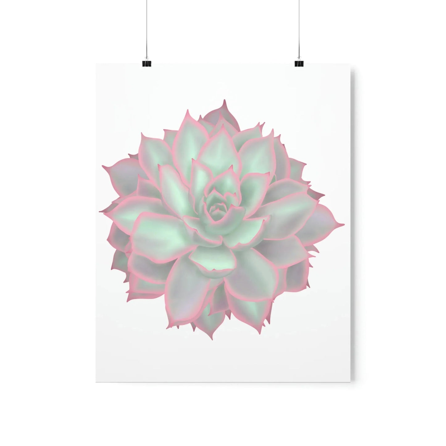 Echeveria Violet Queen Succulent Botanical Print – Unframed Wall Art