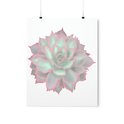 Echeveria Violet Queen Succulent Botanical Print – Unframed Wall Art