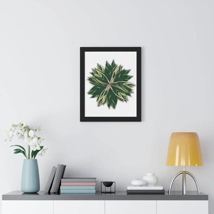 Stromanthe Triostar Framed Print – Botanical Wall Art