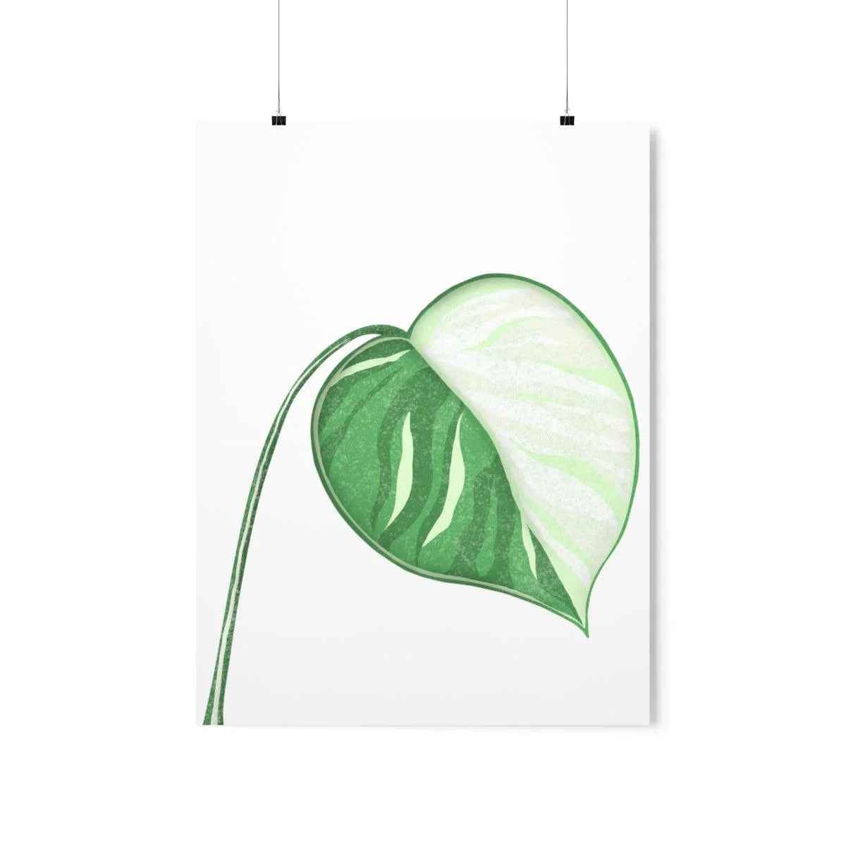 Monstera Albo Botanical Print – Unframed Wall Art