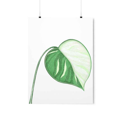 Monstera Albo Botanical Print – Unframed Wall Art
