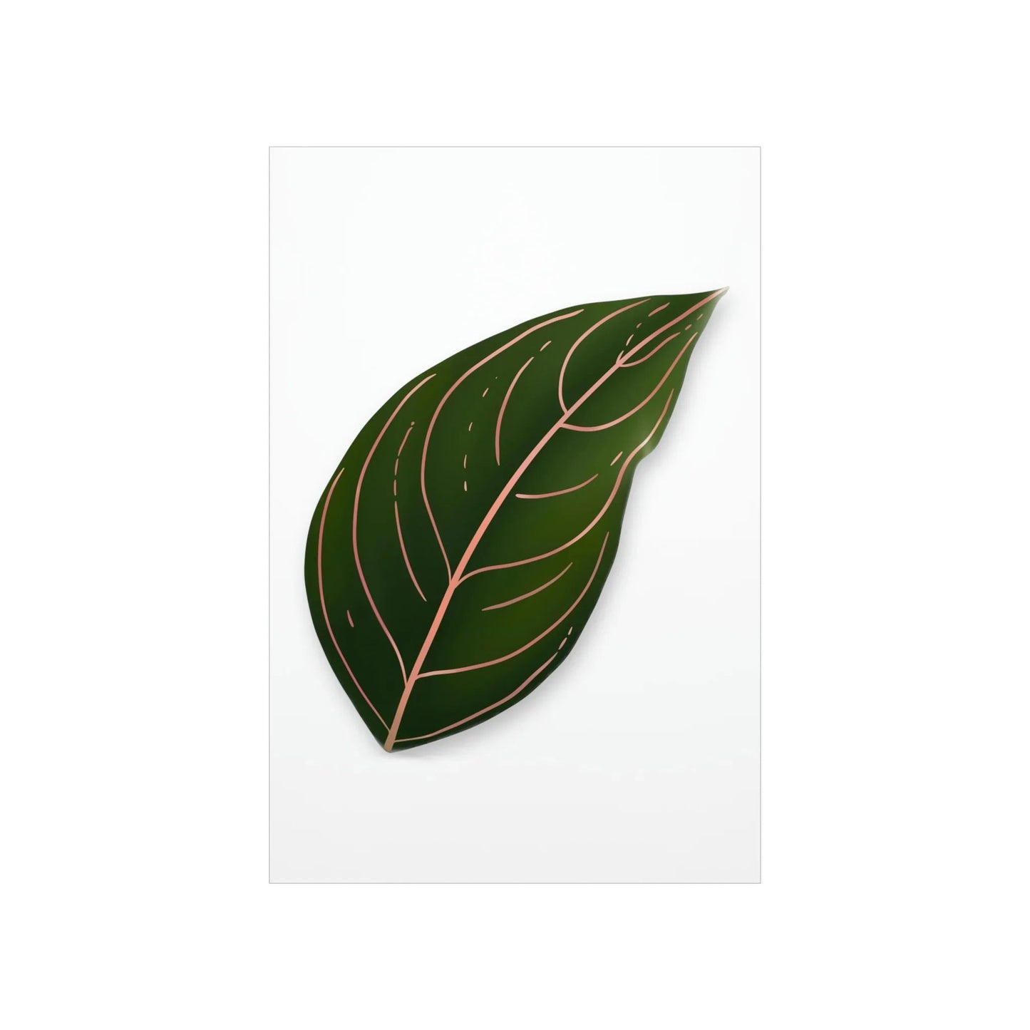 Aglaonema Rotundum Botanical Print – Unframed Wall Art