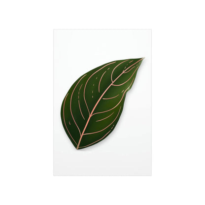 Aglaonema Rotundum Botanical Print – Unframed Wall Art