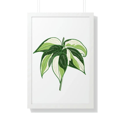 Philodendron Cream Splash Framed Print – Botanical Wall Art