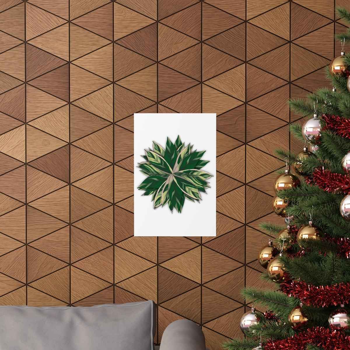 Stromanthe Triostar Botanical Print – Unframed Wall Art
