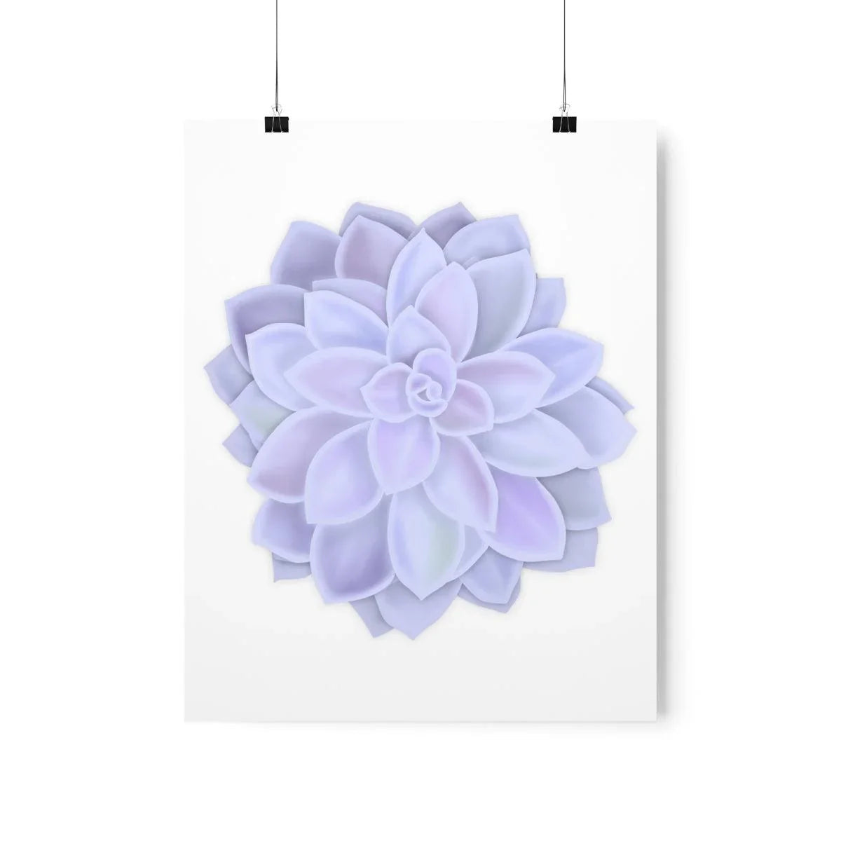 Graptopetalum Murasaki Succulent Botanical Print – Unframed Wall Art