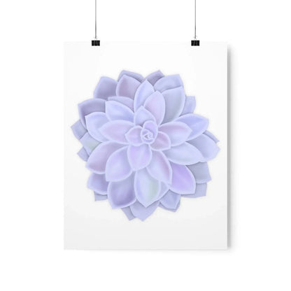 Graptopetalum Murasaki Succulent Botanical Print – Unframed Wall Art