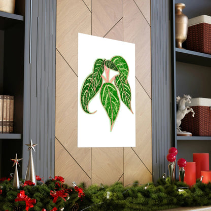 Aglaonema Sparkling Sarah Botanical Print – Unframed Wall Art