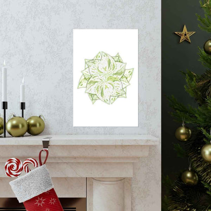 Snow Queen Pothos Botanical Print – Unframed Wall Art