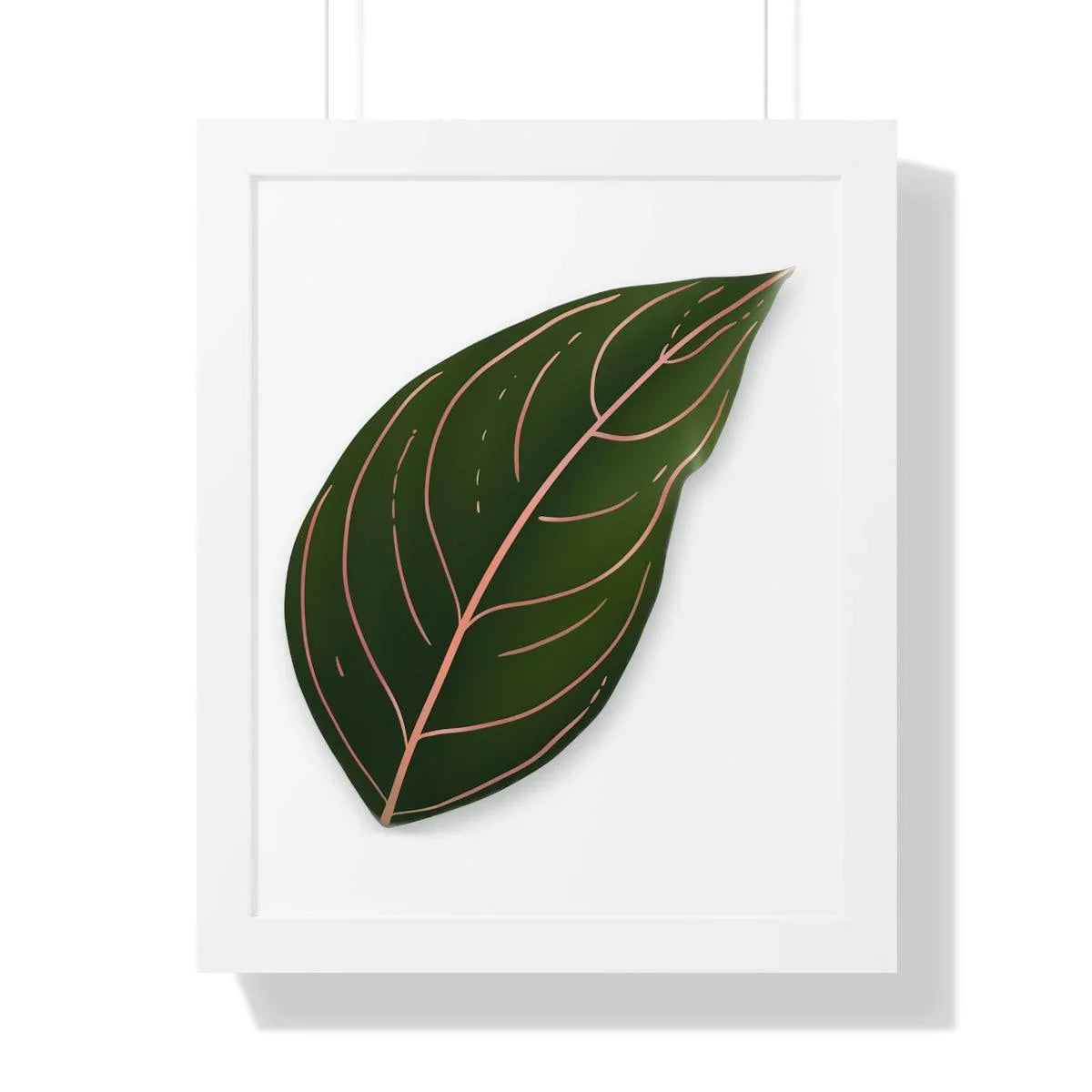 Aglaonema Rotundum Framed Print – Botanical Wall Art