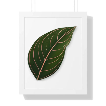 Aglaonema Rotundum Framed Print – Botanical Wall Art