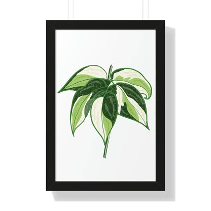 Philodendron Cream Splash Framed Print – Botanical Wall Art