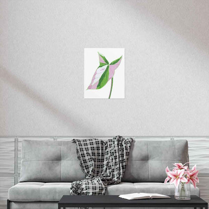 Syngonium Tricolor Botanical Print – Unframed Wall Art