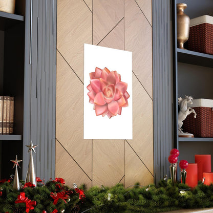 Graptosedum California Sunset Succulent Botanical Print – Unframed Wall Art