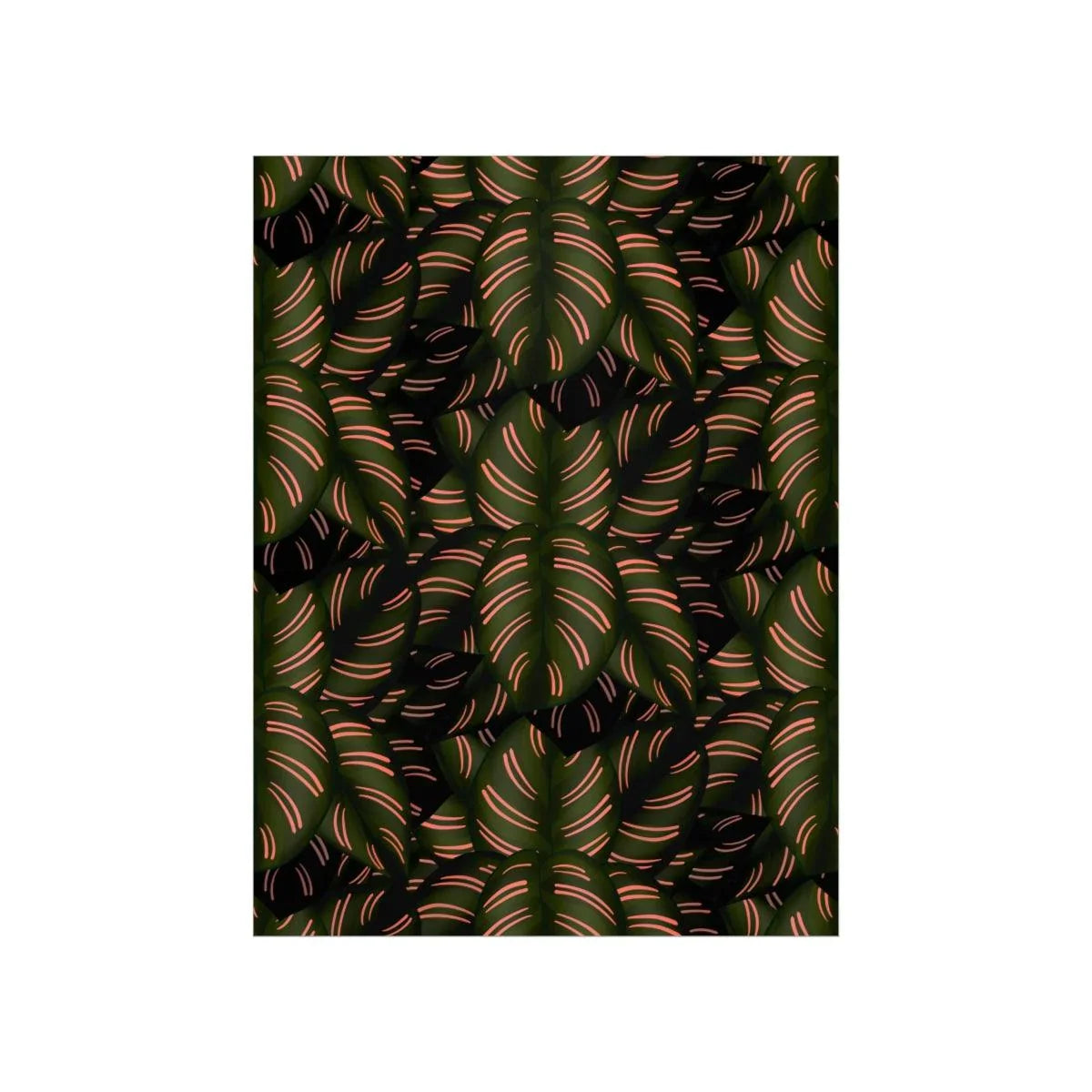 Calathea Pinstripe Botanical Print – Unframed Wall Art
