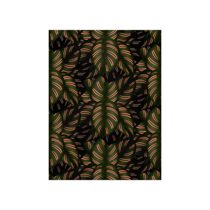 Calathea Pinstripe Botanical Print – Unframed Wall Art