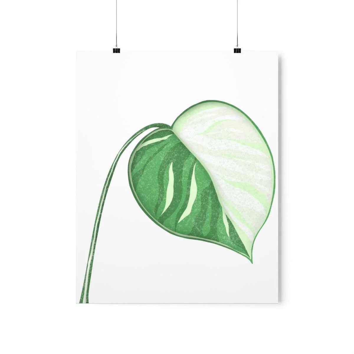 Monstera Albo Botanical Print – Unframed Wall Art