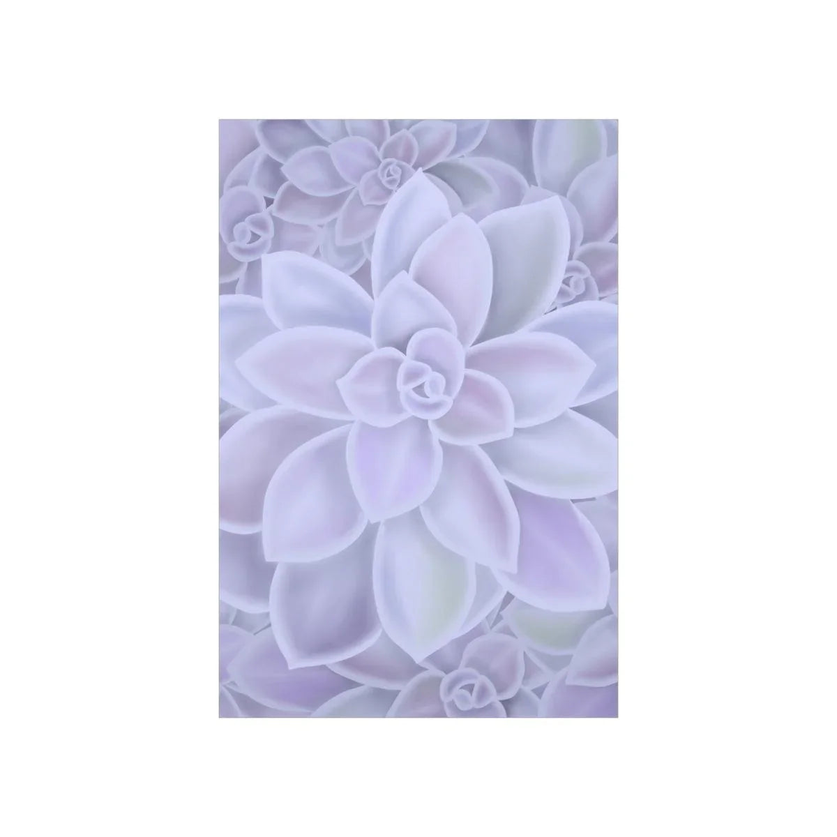 Graptopetalum Murasaki Succulent Pattern Botanical Print – Unframed Wall Art