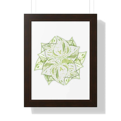 Snow Queen Pothos Framed Print – Botanical Wall Art