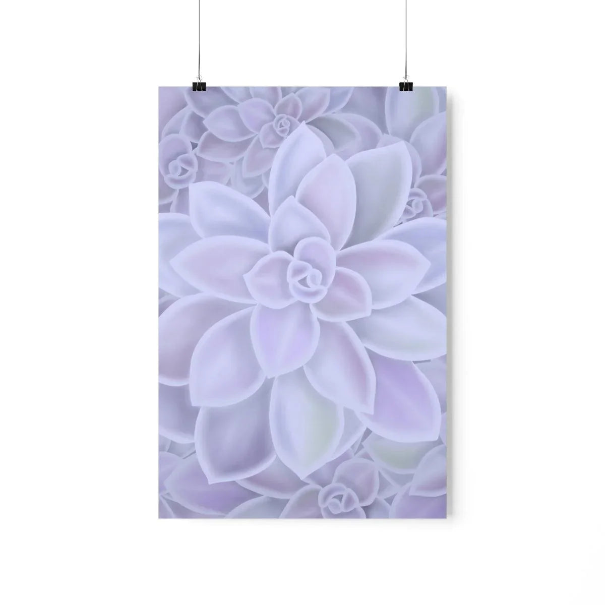 Graptopetalum Murasaki Succulent Pattern Botanical Print – Unframed Wall Art