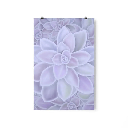 Graptopetalum Murasaki Succulent Pattern Botanical Print – Unframed Wall Art
