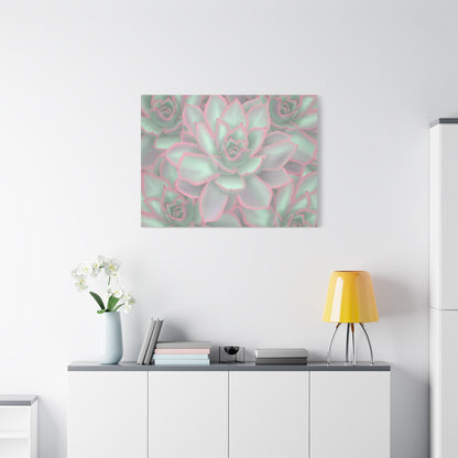 Echeveria Violet Queen Succulent Pattern Canvas Print – Botanical Wall Art