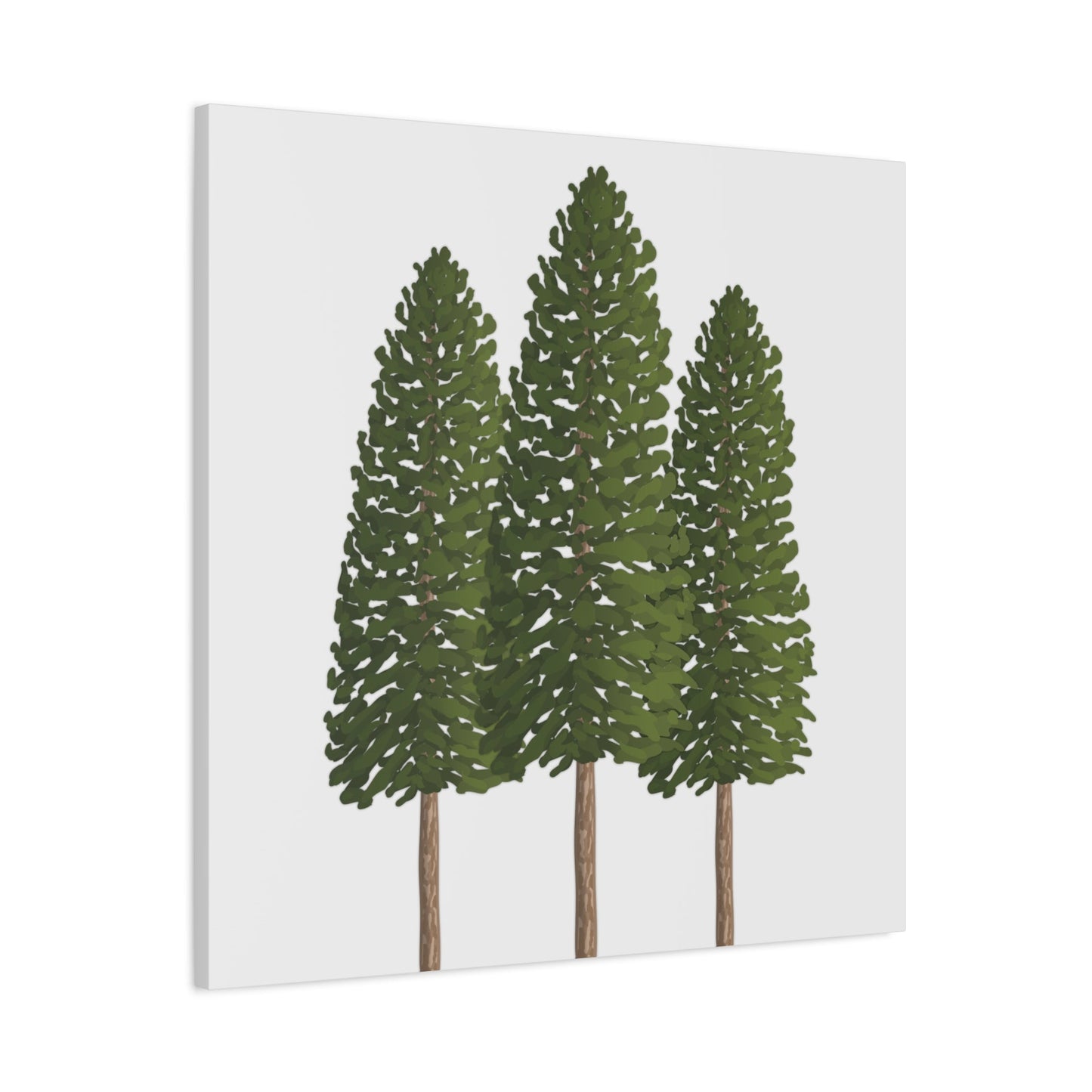 Ponderosa Pine Canvas Print – Wall Art
