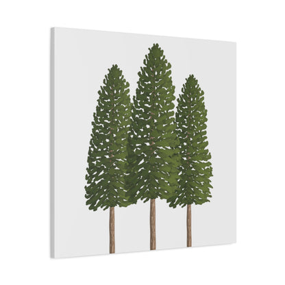 Ponderosa Pine Canvas Print – Wall Art