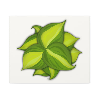 Philodendron Brasil Canvas Print – Botanical Wall Art