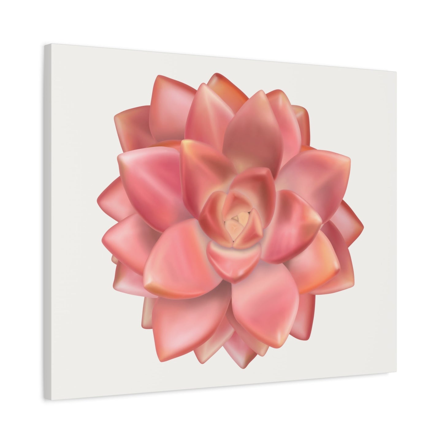 Graptosedum California Sunset Succulent Canvas Print – Botanical Wall Art