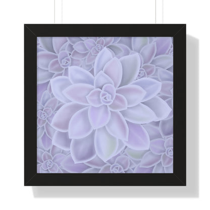 Graptopetalum Murasaki Succulent Pattern Framed Print – Botanical Wall Art