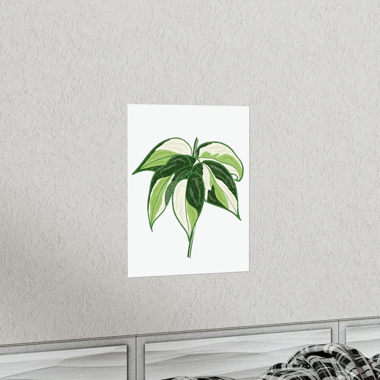 Philodendron Cream Splash Botanical Print – Unframed Wall Art