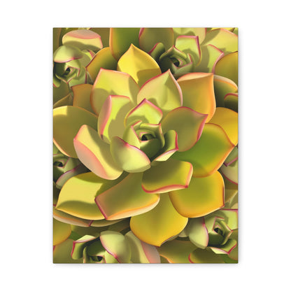 Noble Aeonium Succulent Pattern Canvas Print – Botanical Wall Art