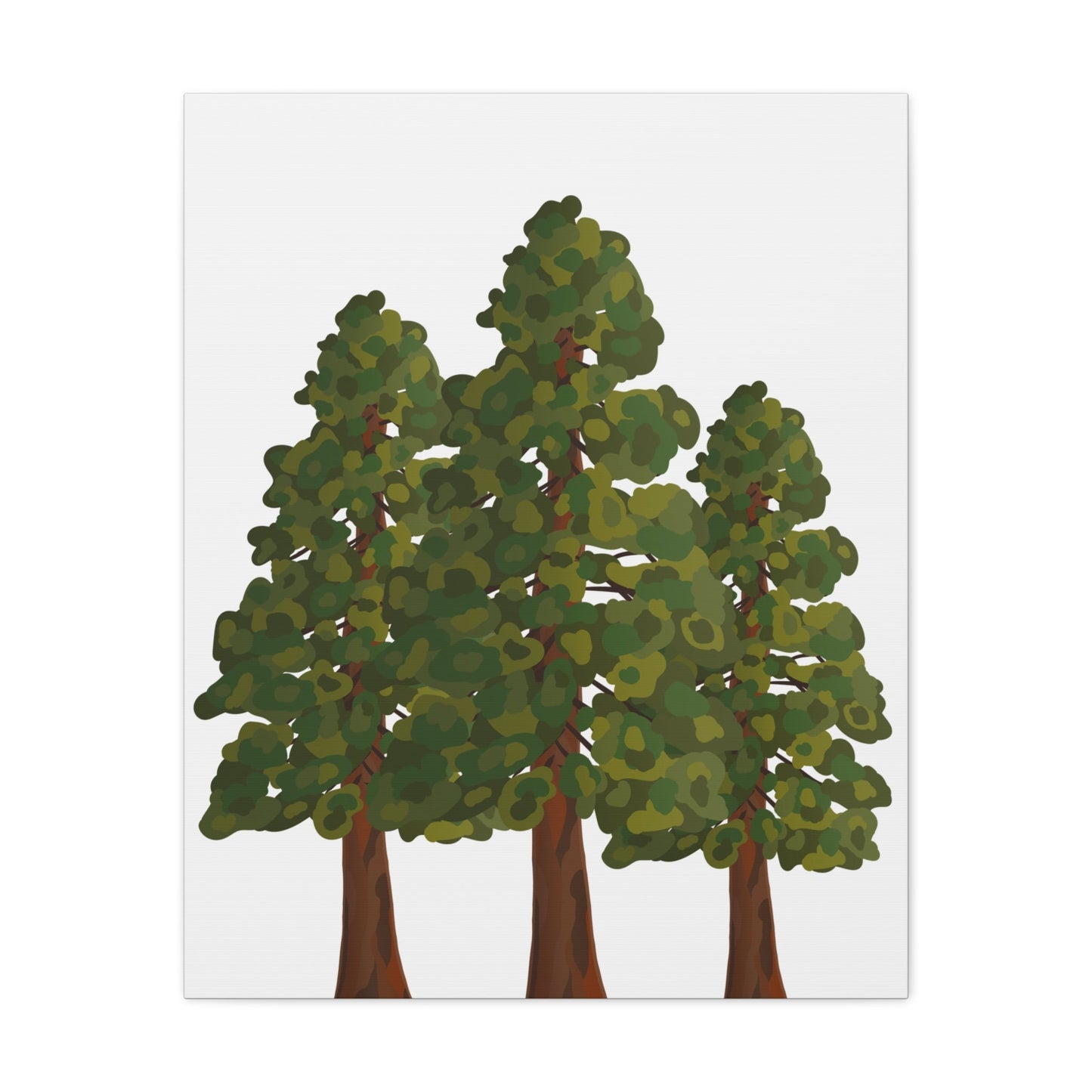 Coastal Redwood Canvas Print – Wall Art