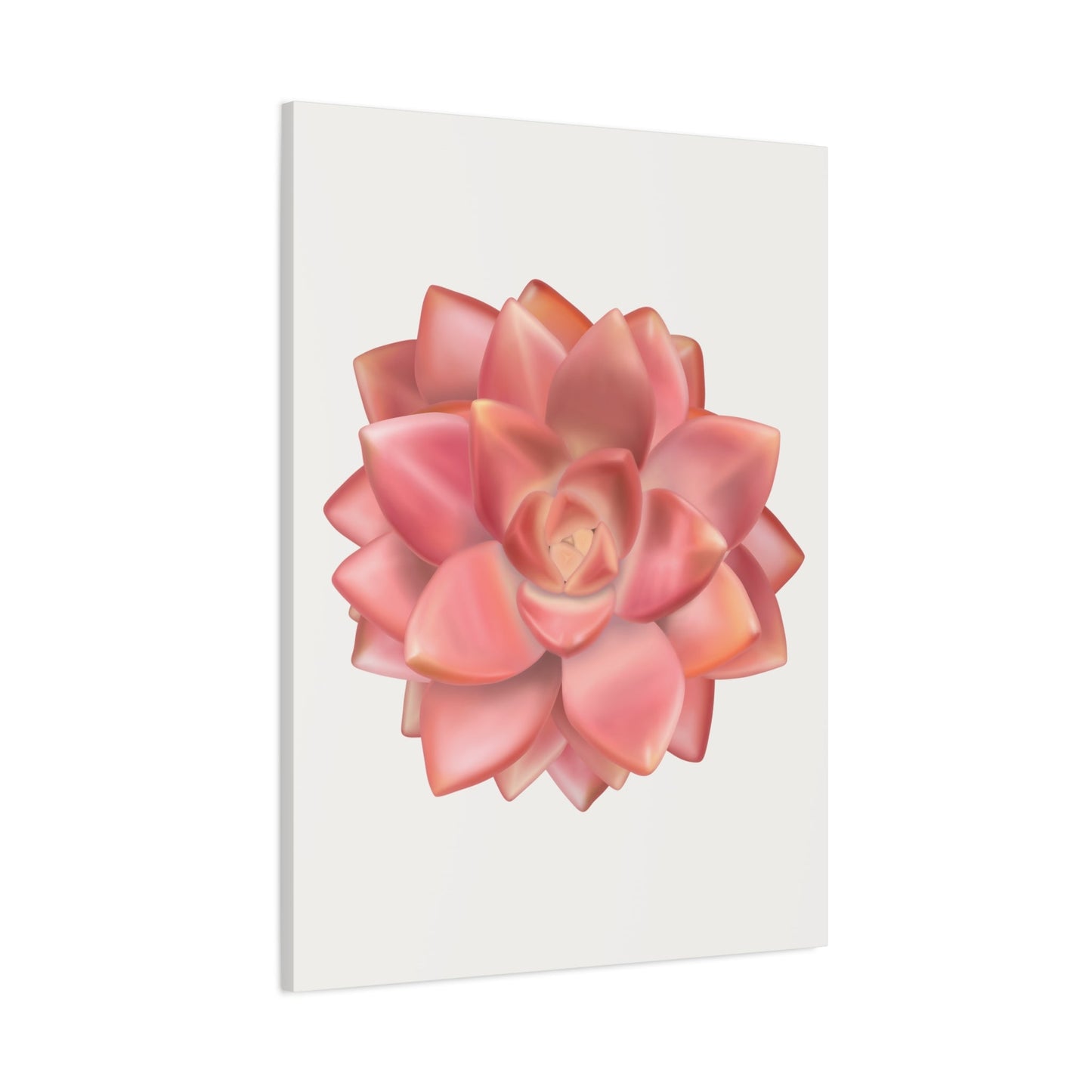 Graptosedum California Sunset Succulent Canvas Print – Botanical Wall Art