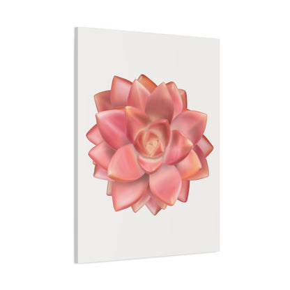 Graptosedum California Sunset Succulent Canvas Print – Botanical Wall Art