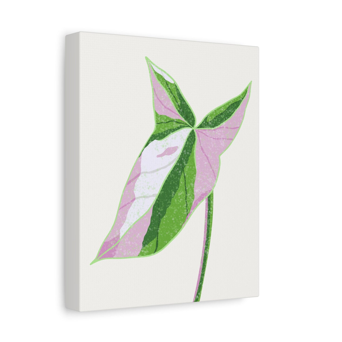 Syngonium Tricolor Canvas Print – Botanical Wall Art