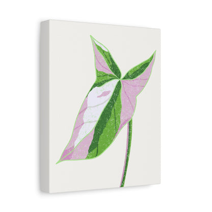 Syngonium Tricolor Canvas Print – Botanical Wall Art