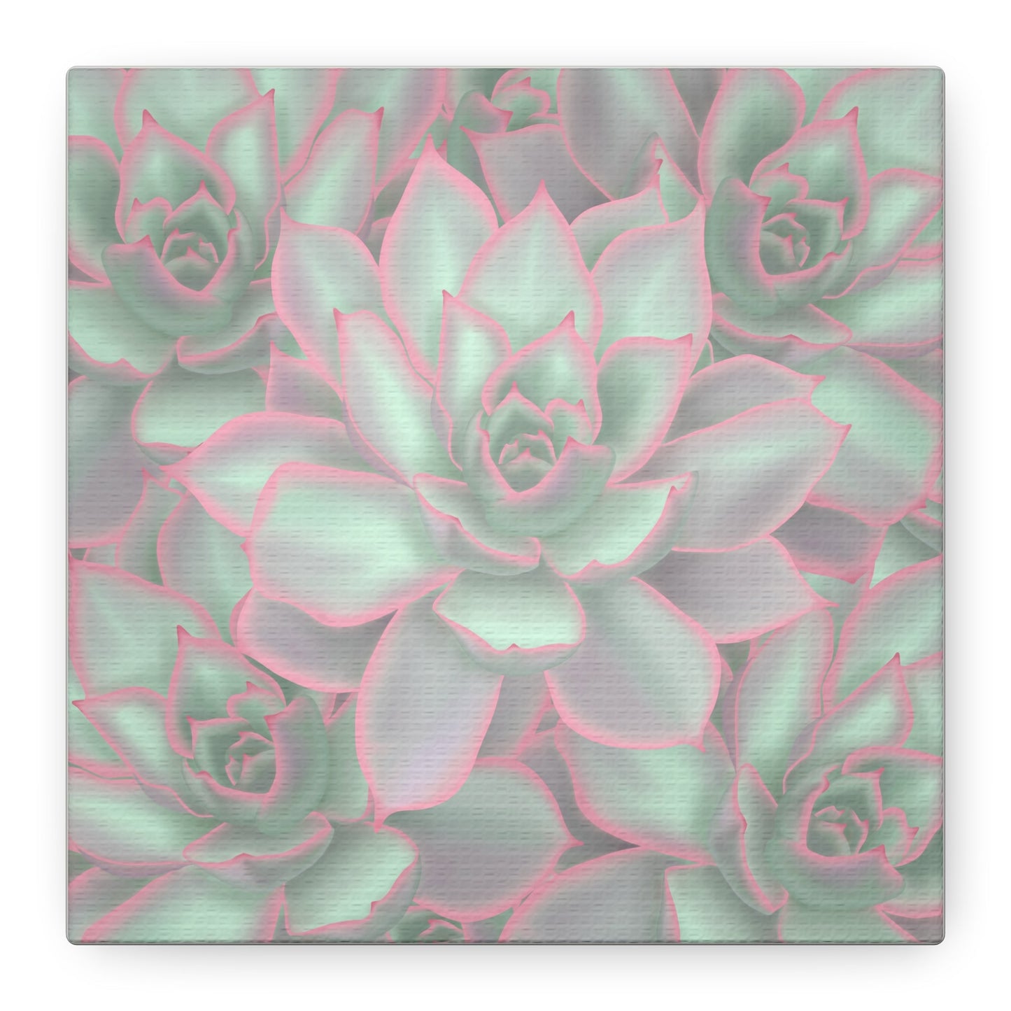 Echeveria Violet Queen Succulent Pattern Canvas Print – Botanical Wall Art